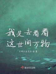 我看过世间万物从不慌张歌词