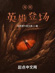 海贼王英雄z