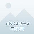 有本事你来追我