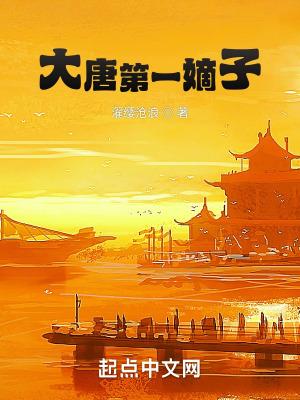 大唐第一长子无弹窗
