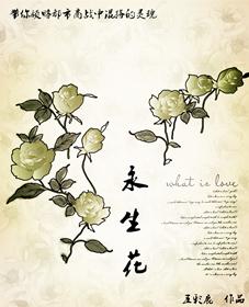 vana永生花