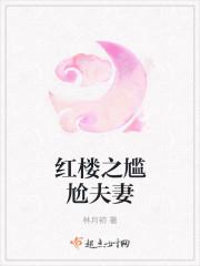 红楼之尴尬夫妻txt资源