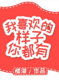 我喜欢的样子你都有英语
