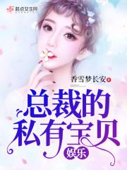 总裁娱乐文