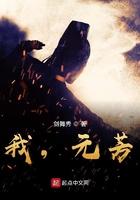 我元芳精校版
