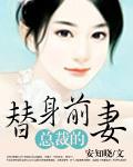 叶非墨总裁的替身前妻