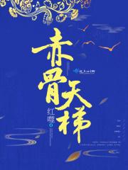 赤骨天梯好看吗